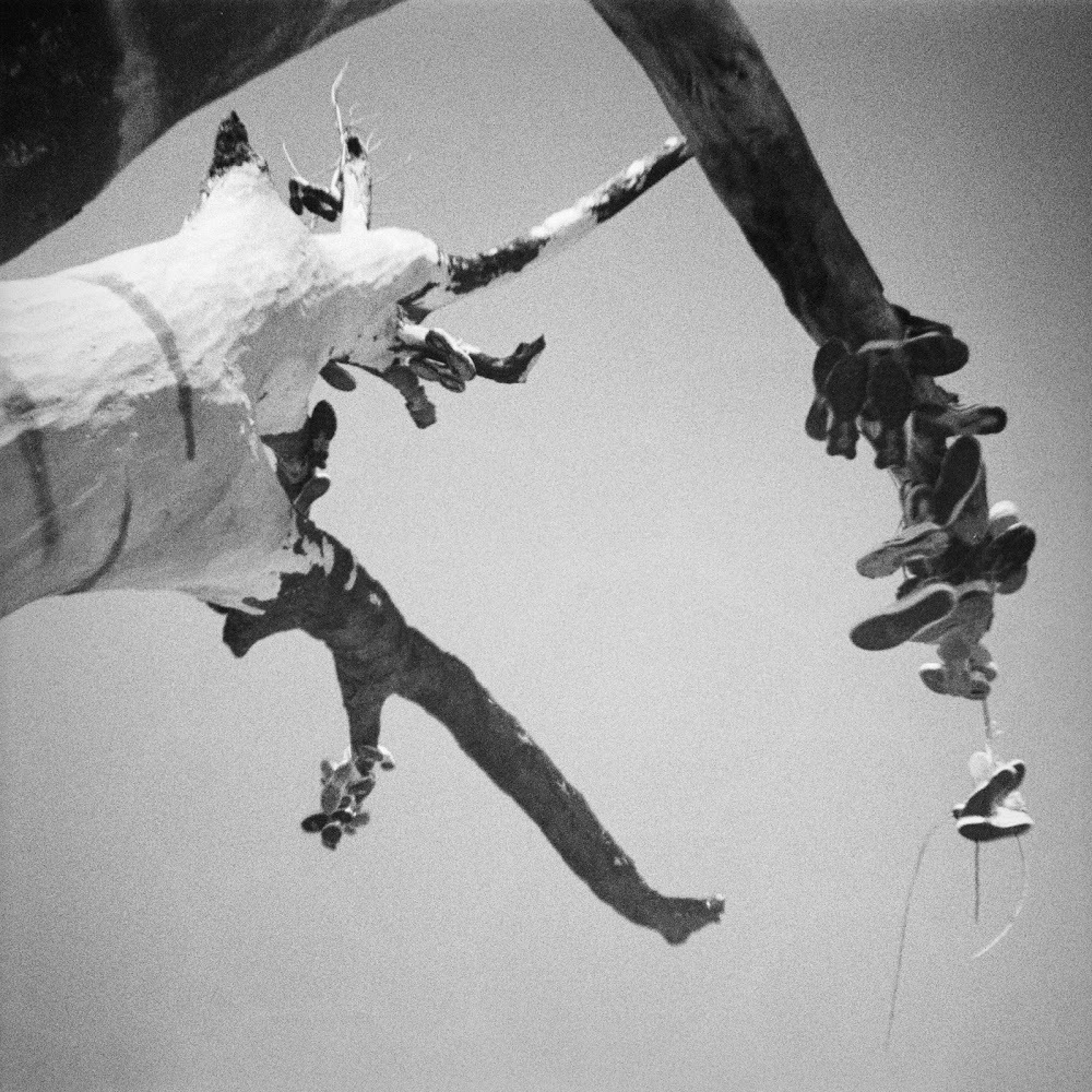 Meet your Posher, Laurren